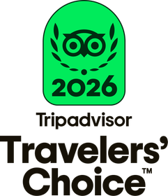Tripadvisor Travelers' Choice 2020 award badge, black and white, with owl logo inside a laurel wreath.