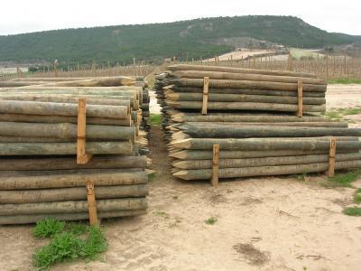 INMUNIZADOS Y CONCRETOS DEL VALLE