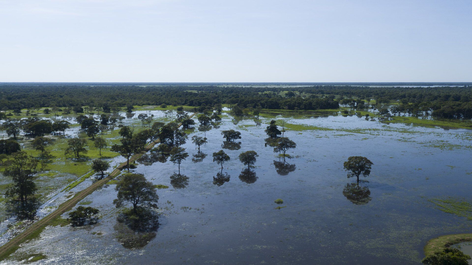 Pantanal, vista aérea Poconé (MT) | Créditos da imagem: Flávio André de Souza - MTur