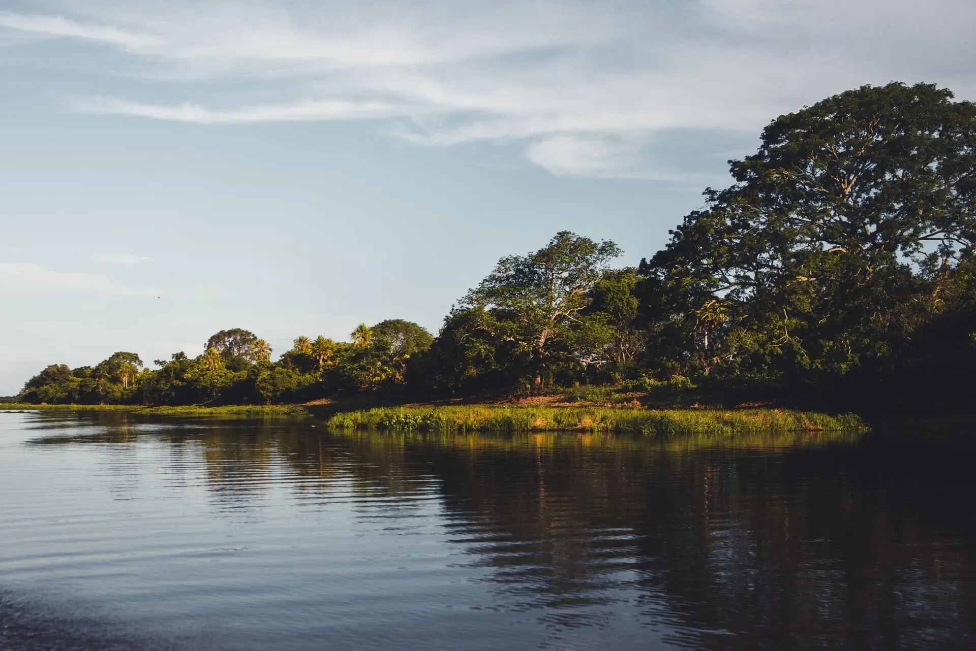Pantanal
