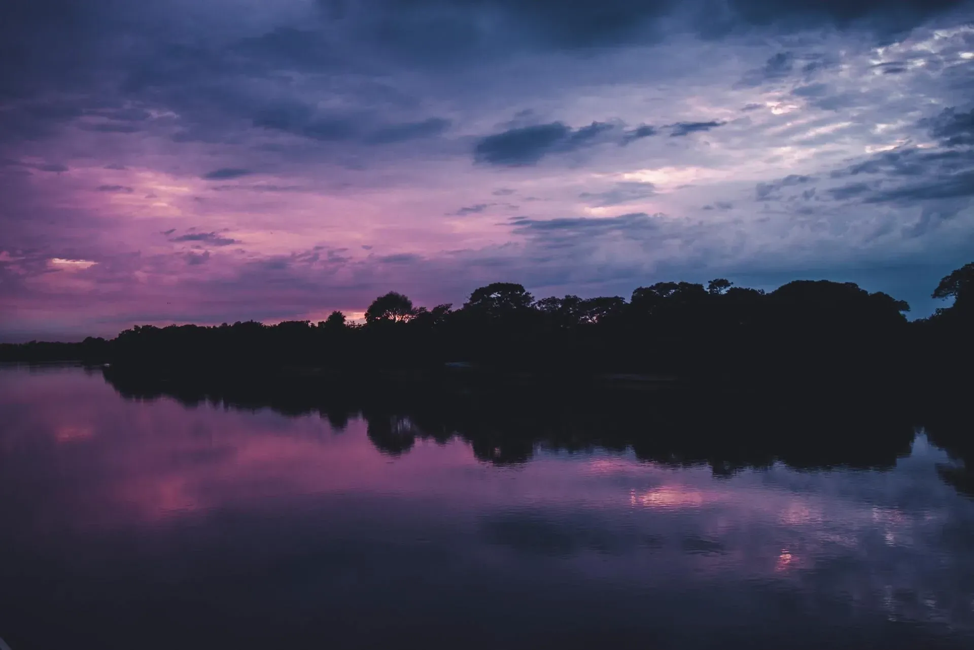 Pantanal: para conhecer e se encantar
