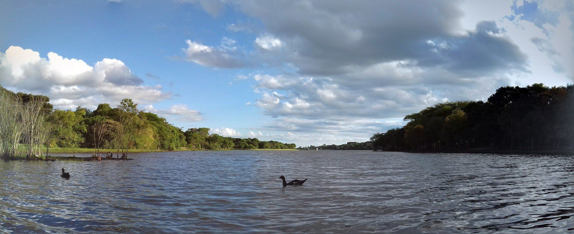 Parque Municipal Paulo Gorski