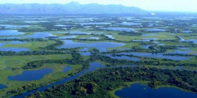 Pantanal sul matogrossense