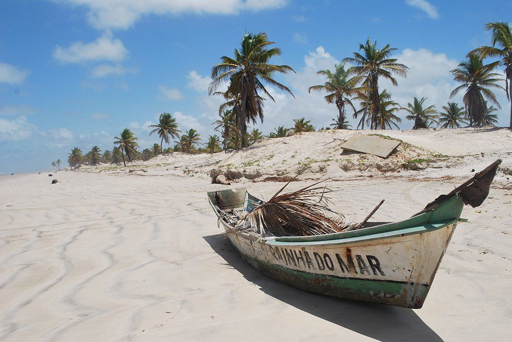Mangue Seco