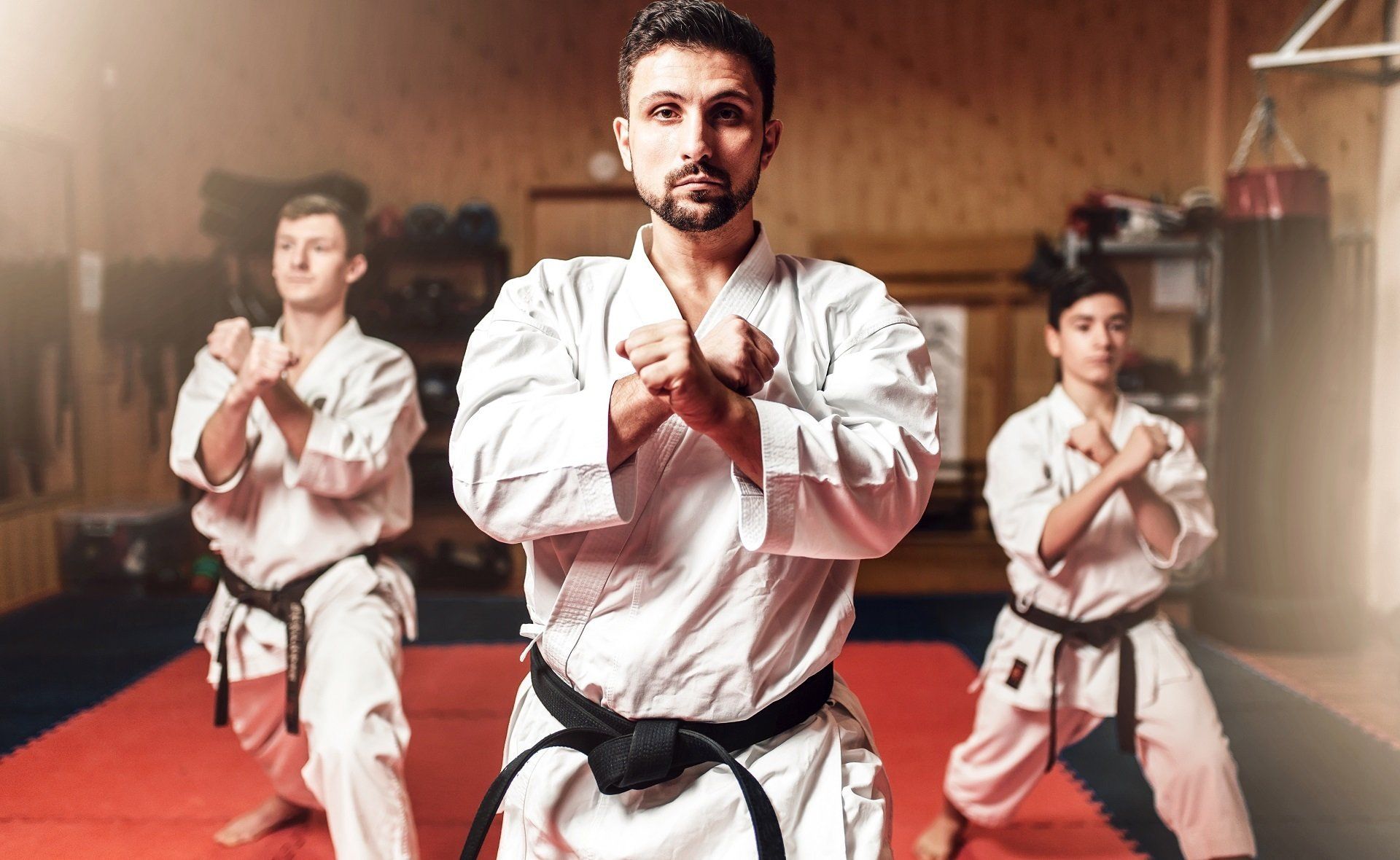 Martial Arts Insurance Industry Specialists Quotes 03 8201 9908