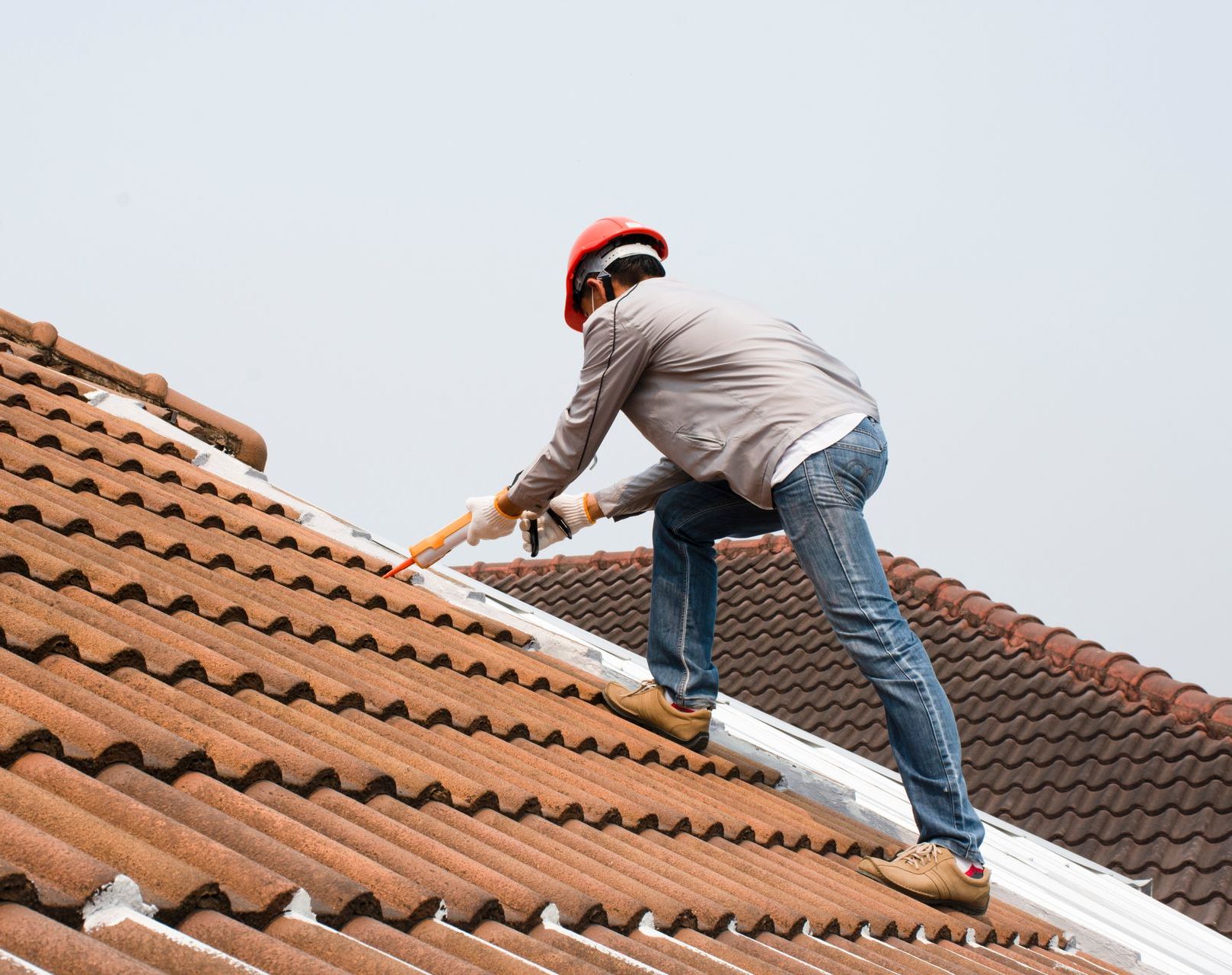 Roof Renovation