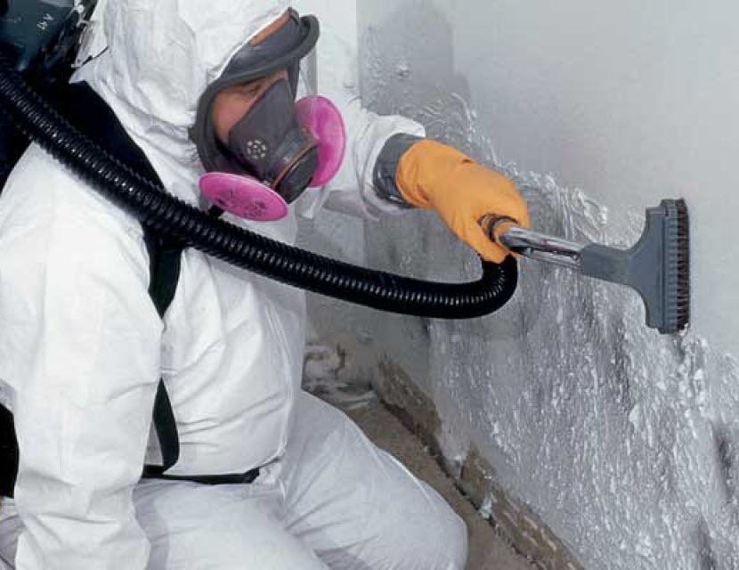 mold removal