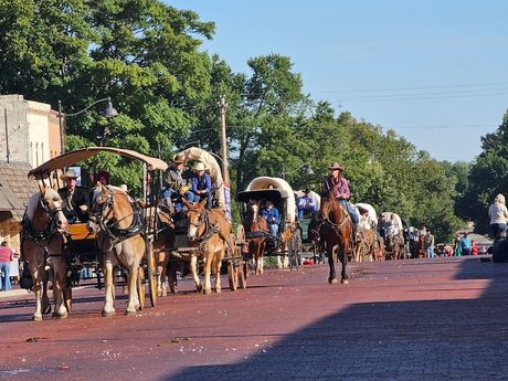Horse-drawn covered wagons parading down a tree-lined street on a sunny day
