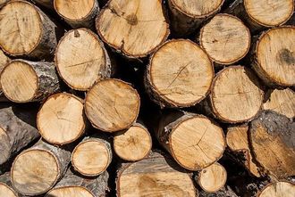 Stacked Logs - Carney Tree Service, LLC - Wyckoff, NJ