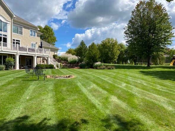 Image of a freshly cut lawn in the backyard of a home in Wayzata, MN. You can see professionally cut green grass that was cut in a straight line.  you can see the lawn mowing lines alternating in color from dark green to light green.  In the background, you can see a tree line to the right and a two-story home to the upper left of the image. 