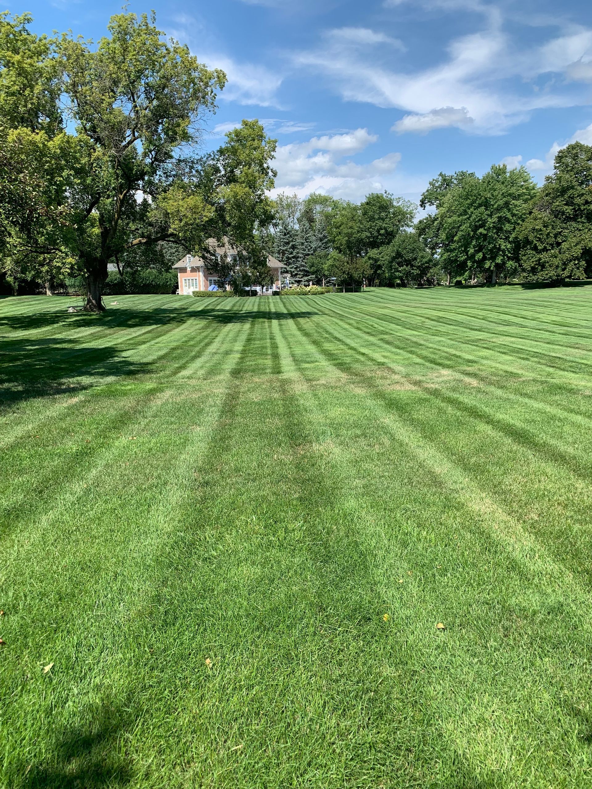 Picture of a large lawn that was cut perfectly. You can see the freshly mowed grass cut in perfectly straight lines. There is a tree line toward the left and right of the image border and a home at the end of the image. You can also see the well-maintained lawn and landscape of this property here in Wayzata, MN.