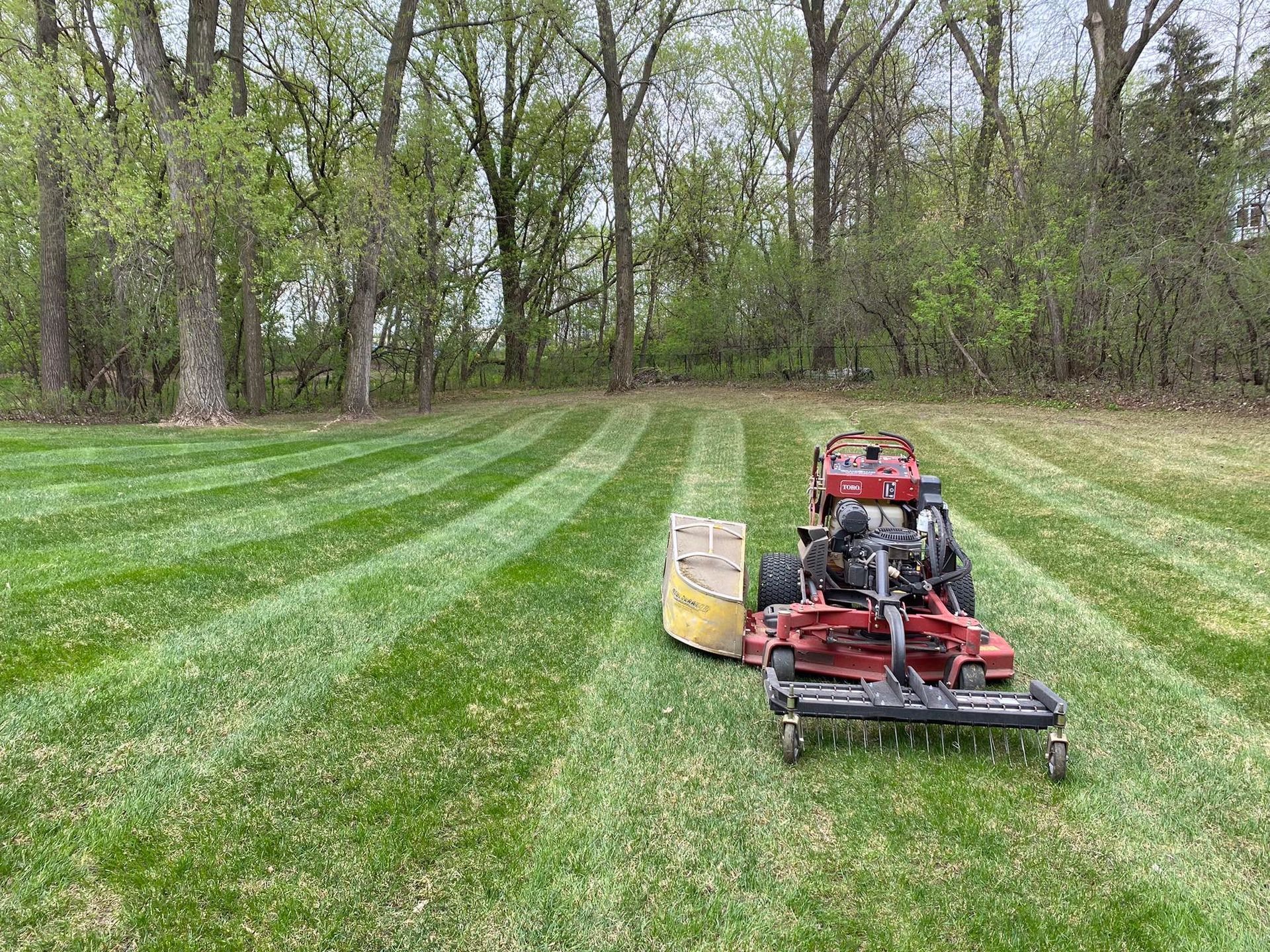 Image of a lawn here in Wayzata, MN that has been aerated.