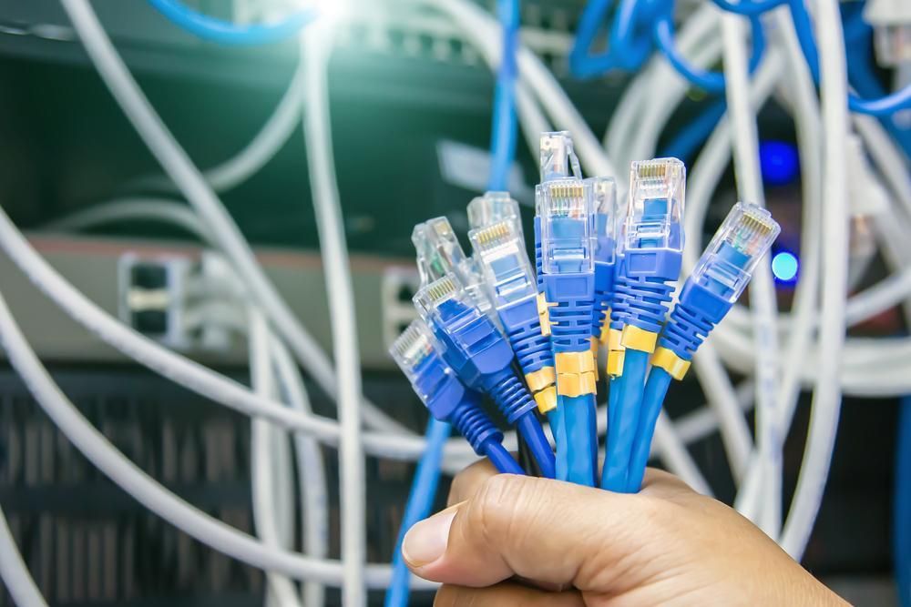 A Person is Holding a Bunch of Ethernet Cables in Their Hand — River City Communications In Melinga, NSW