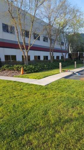 Building Lawn Before