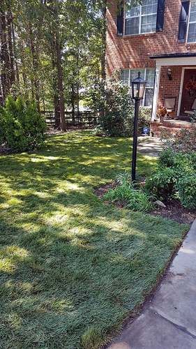 Lawn After