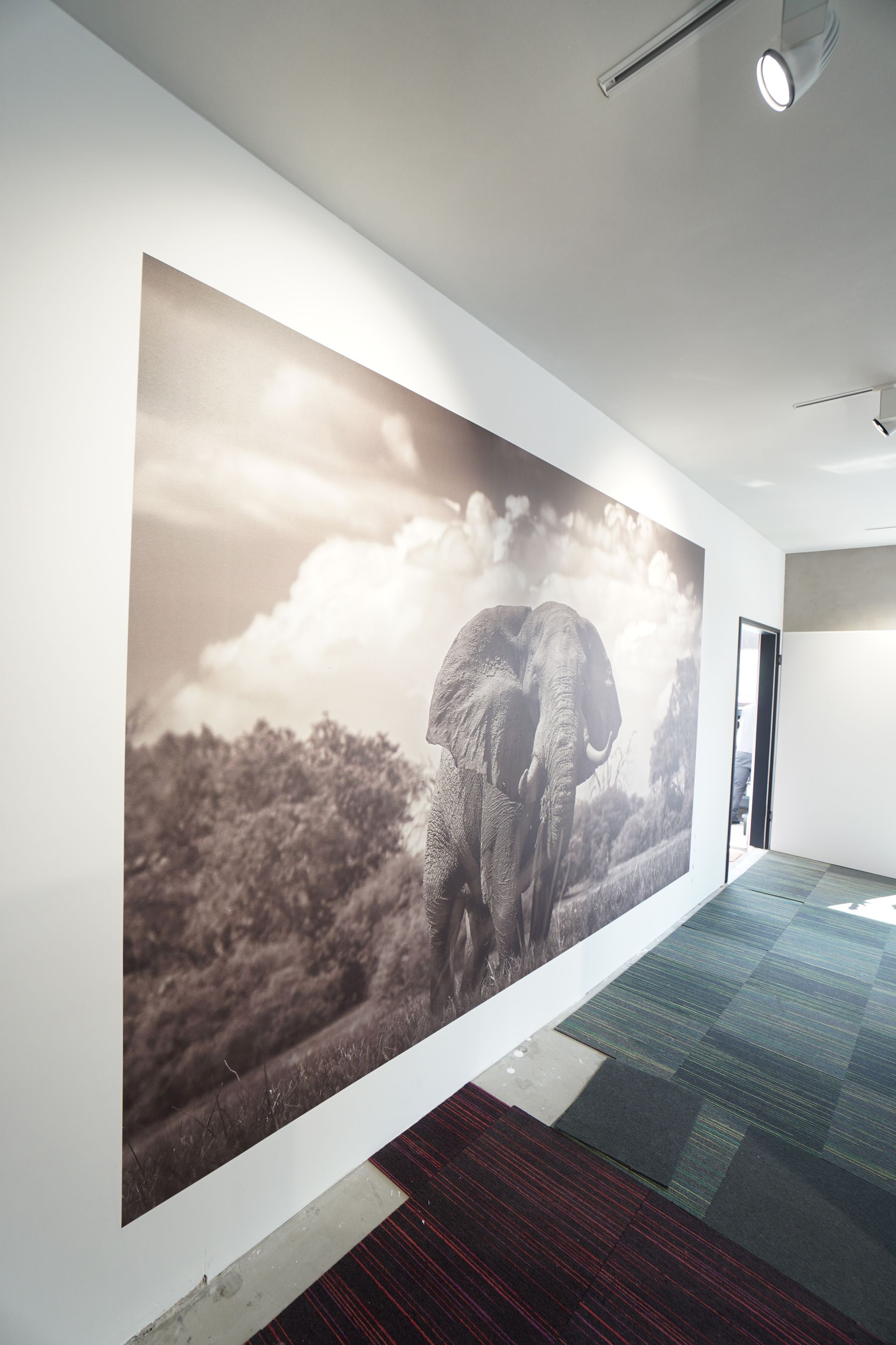 Grote sepiakleurige foto van een olifant in een landschap tegen een witte muur. Ook een deuropening en een vloerbedekking zijn aanwezig.