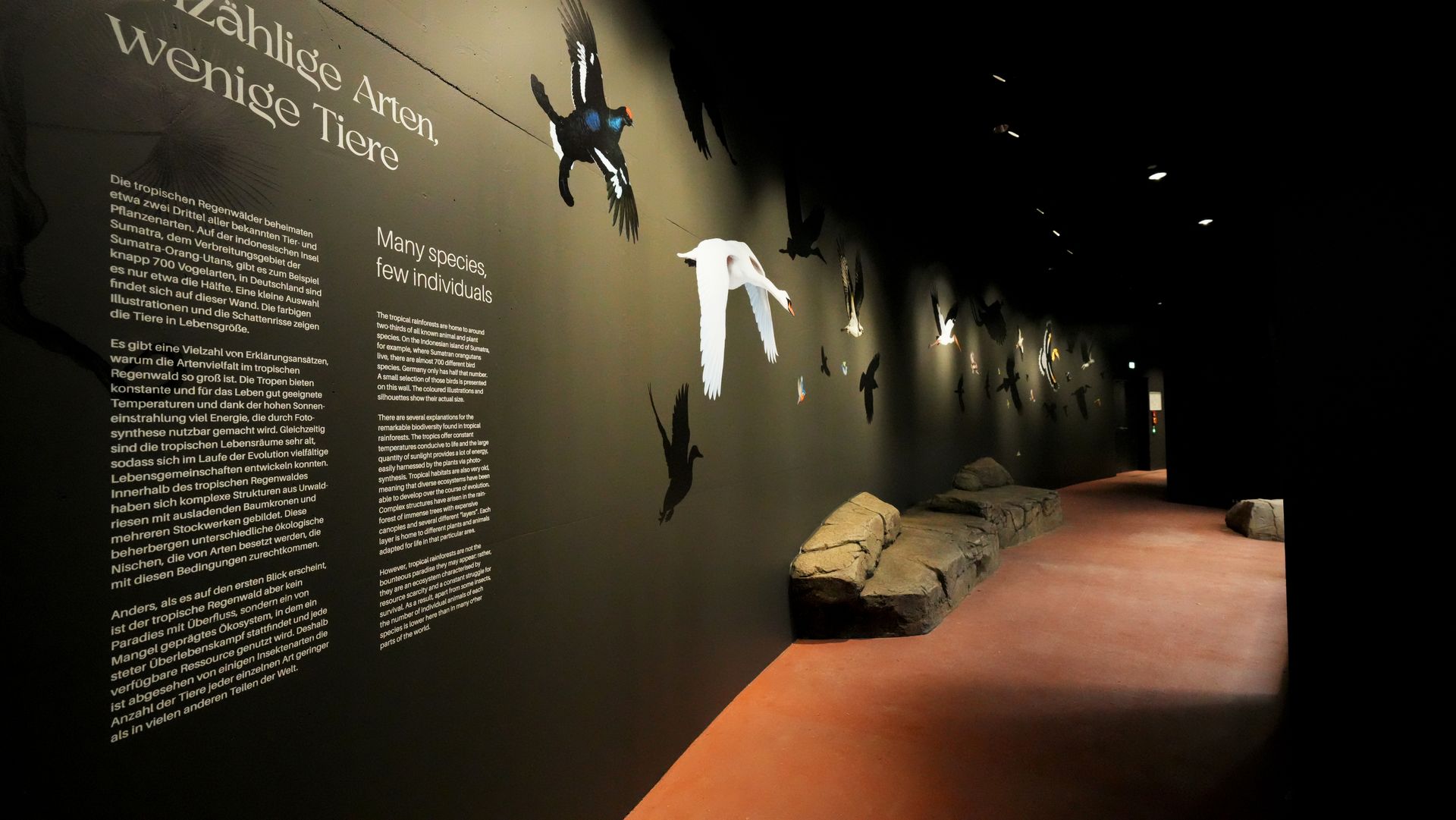 Donkere museumgang met vleermuissilhouetten, informatieve tekst en een rode vloer.
