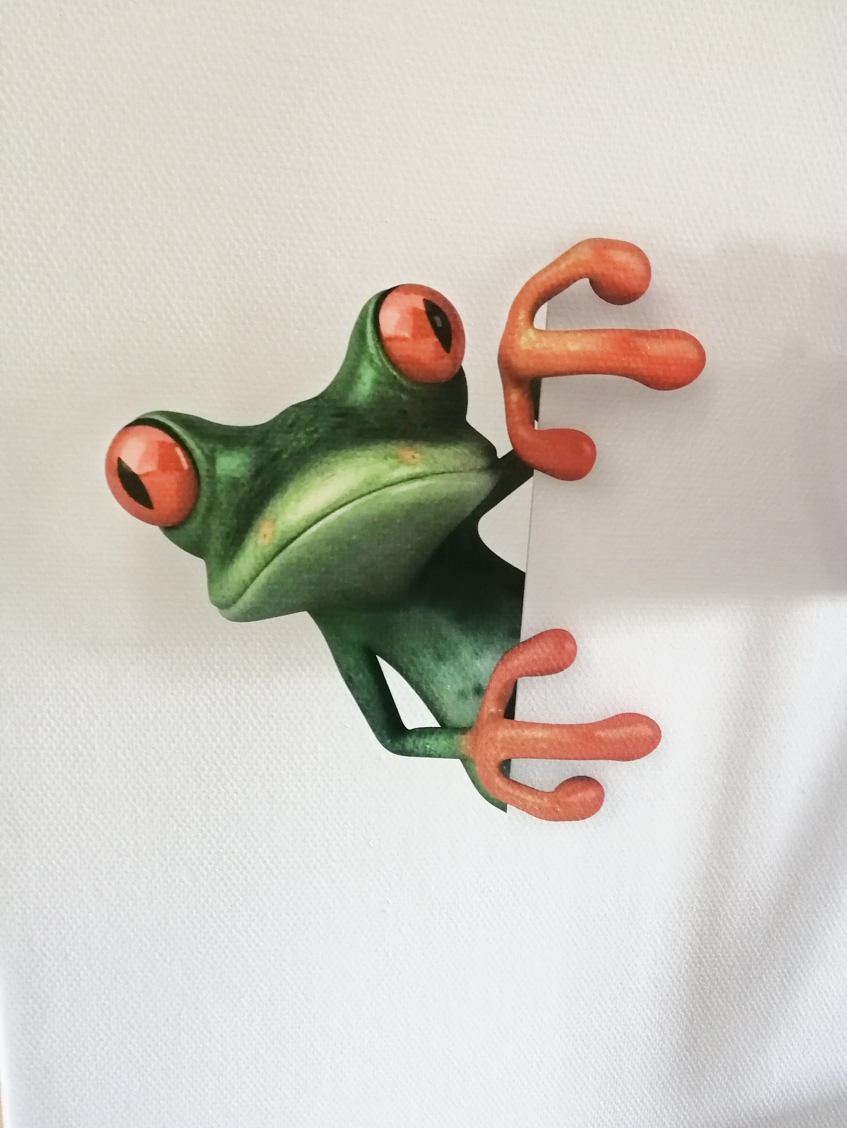 Groene kikker met rode ogen die om een witte hoek piept, oranje poten zichtbaar.