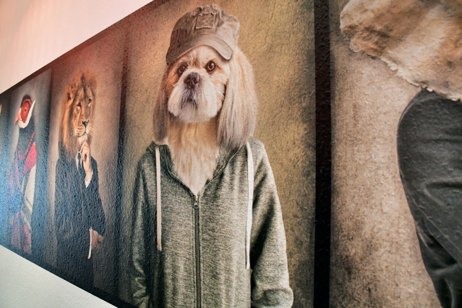Hond met hoed en capuchon, staand op een muur met portretten van andere dieren.
