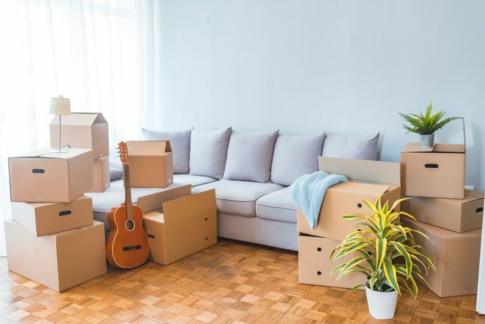A Living Room Scene With Packed Cardboard Boxes, Couch, Guitar, and Plants — The Cheapy Shop in Taree, NSW
