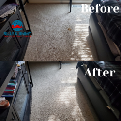a before and after photo of a bedroom carpet