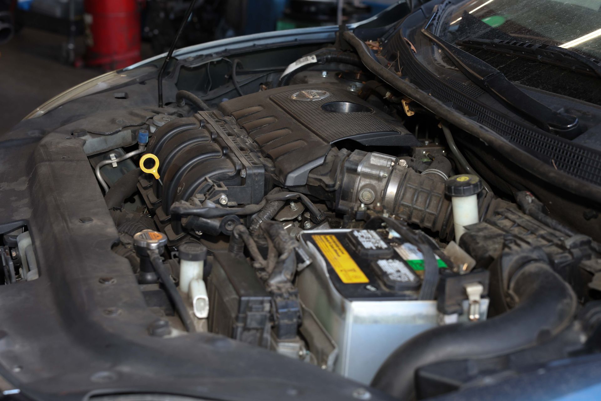 Engine | Omega Automotive