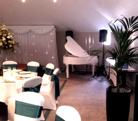 White grand piano shell