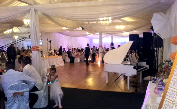 White grand piano shell