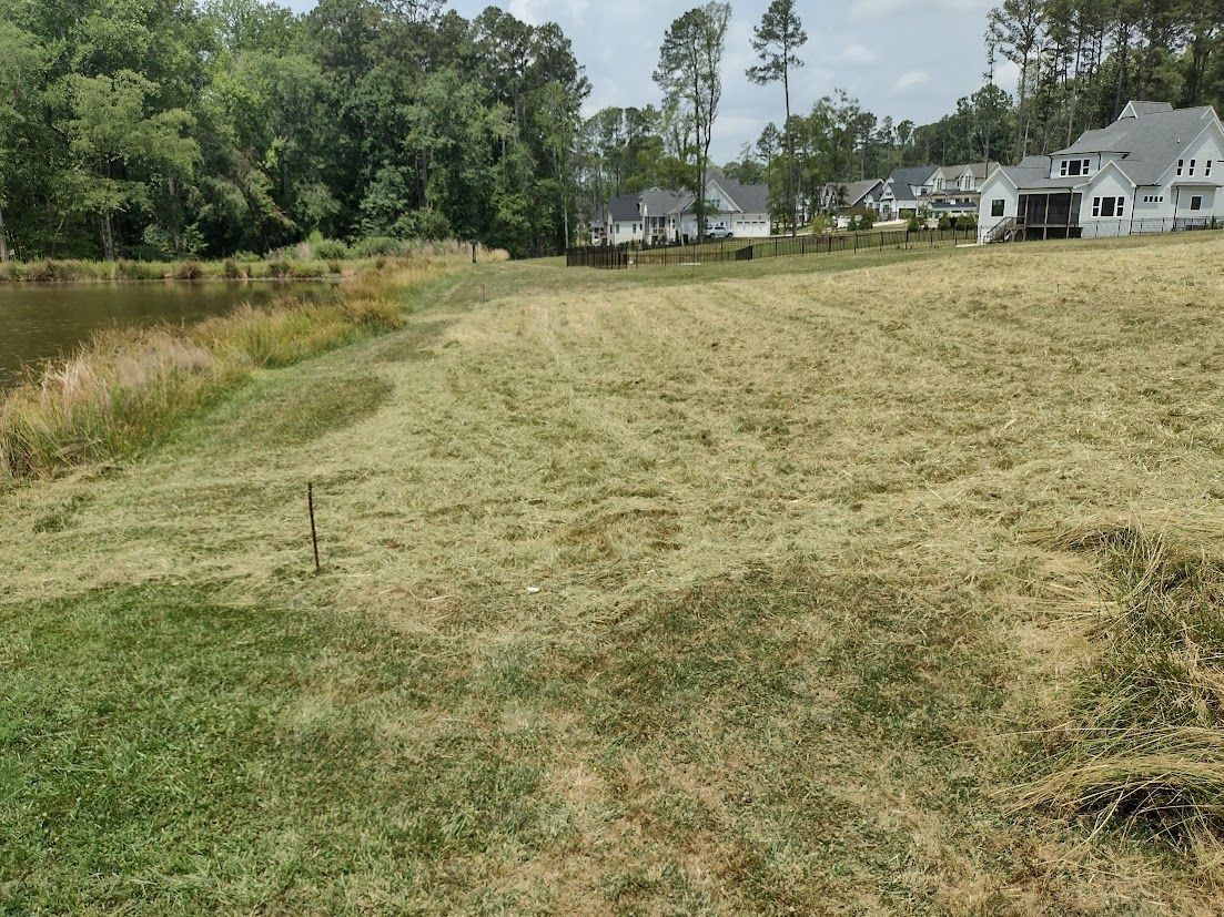 Mowed field next to a lake and houses. Green and tan grass, cloudy sky.