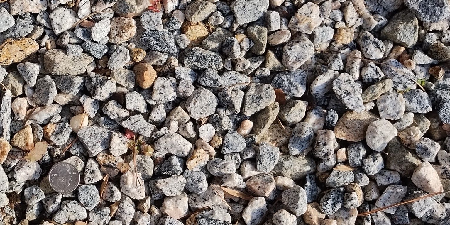 Gravel close-up, various sized and colored rocks, a coin visible for scale.