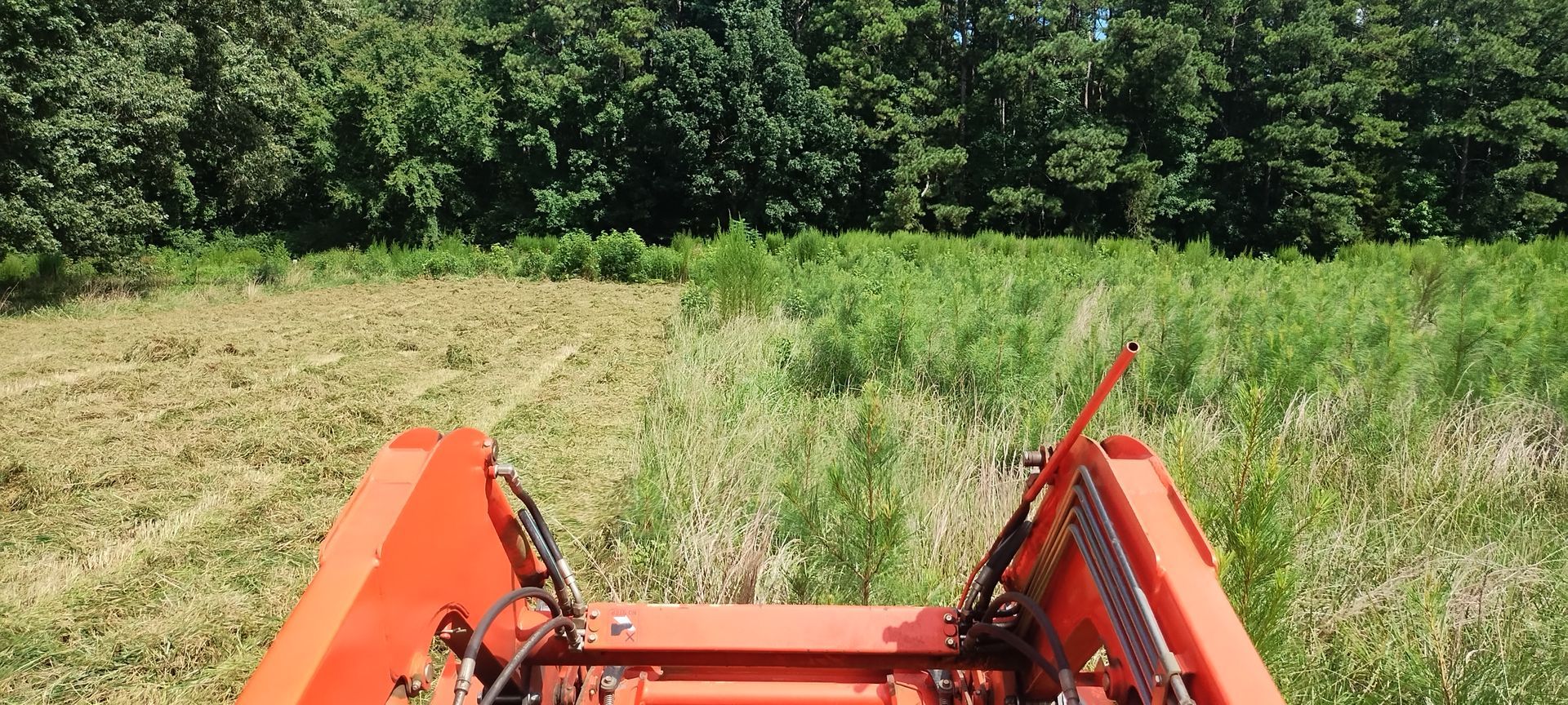 Orange tractor cutting tall grass in a field. Lush green trees in the background under a blue sky.