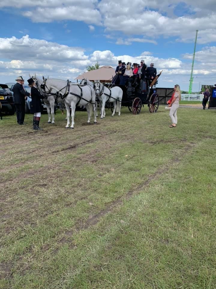 A group of horses pulling a carriage in a field