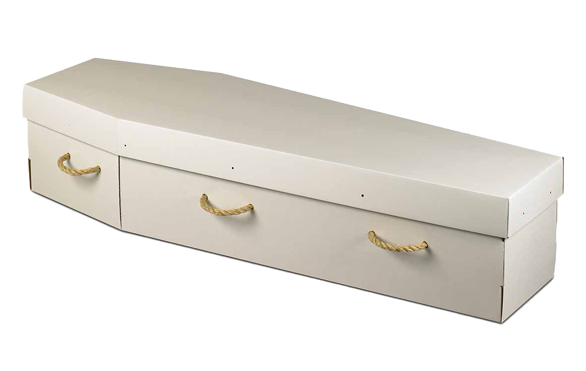 A white coffin with gold handles on a white background