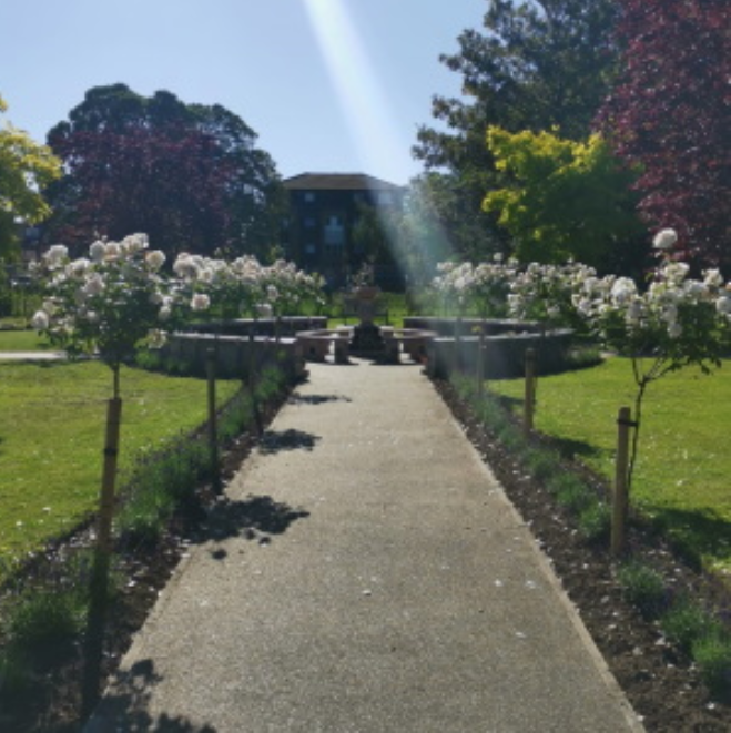 A path in a park with trees and flowers on both sides