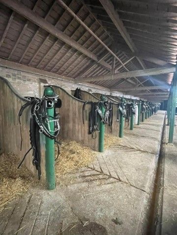 A row of horse stables with saddle and bridle hanging on green poles.