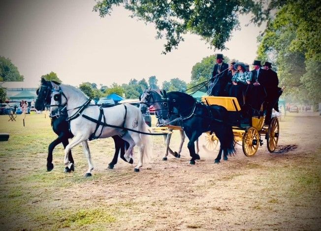 A group of horses pulling a carriage in a field