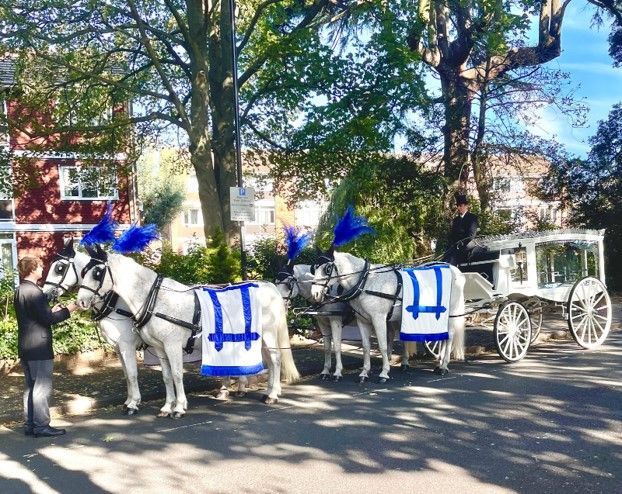 Two horse drawn carriages are parked on the side of the road.