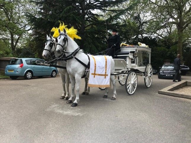 A horse drawn carriage is parked in a parking lot.