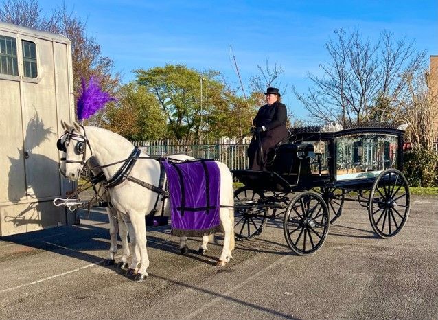 A man is riding a horse drawn carriage in a parking lot.