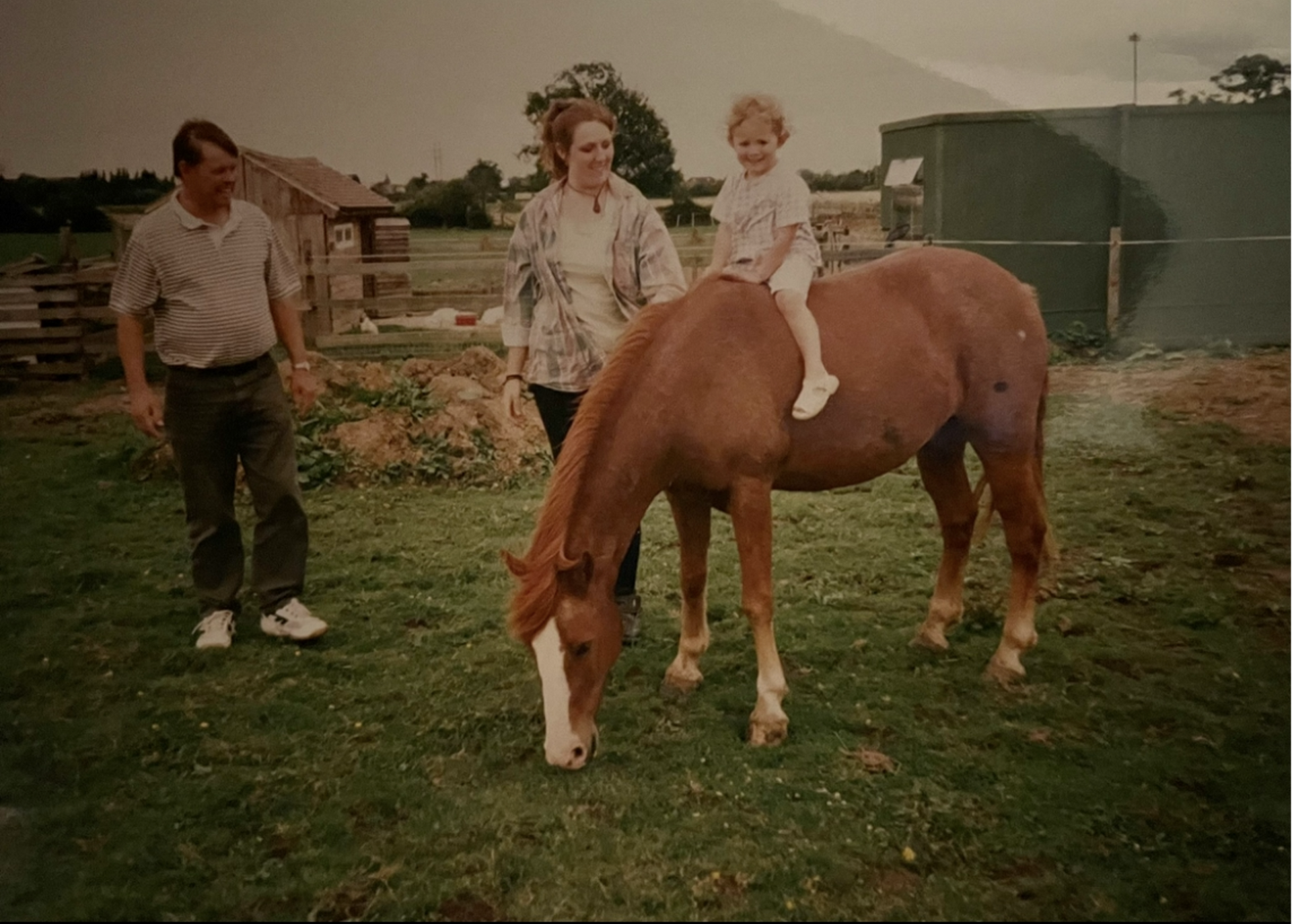 A little girl sits on the back of a brown horse