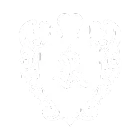 A white background with a few lines on it