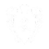 A white background with a few lines on it
