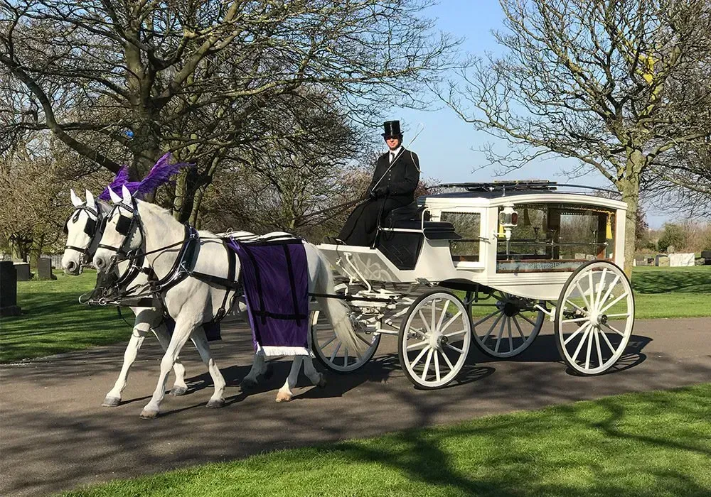 A man is riding a horse drawn carriage in a park.