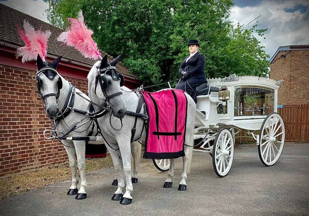 A woman is riding a horse drawn carriage with two horses.