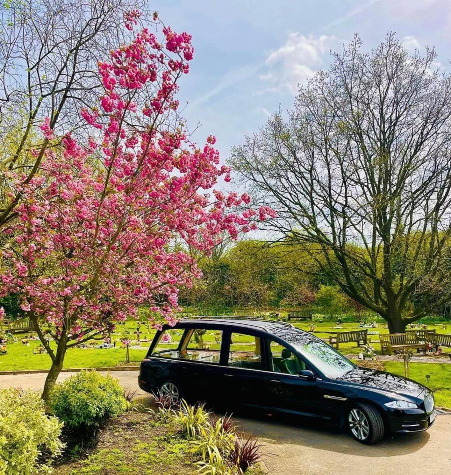 A black van is parked in front of a tree with pink flowers.