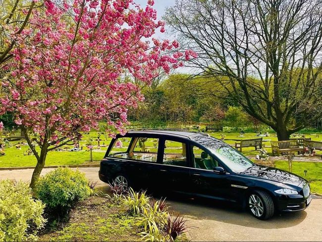 A black van is parked in front of a tree with pink flowers.
