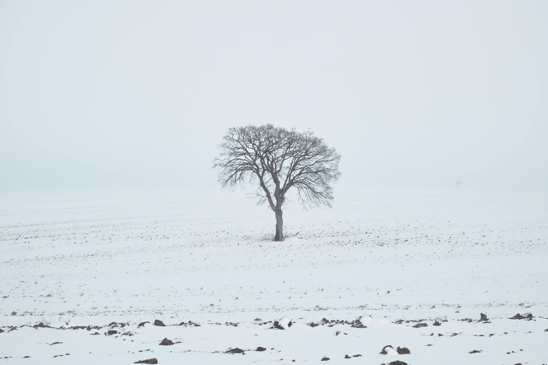 Snow-covered field with a lone tree in the center under a cloudy sky.