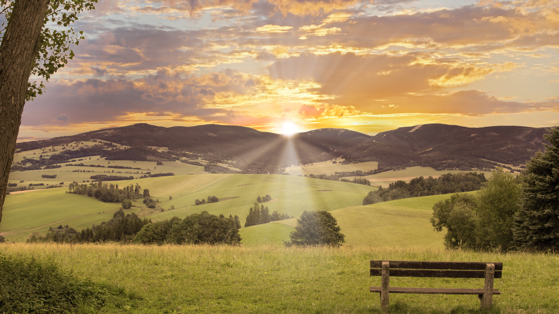 A sunset over a field with a bench in the foreground