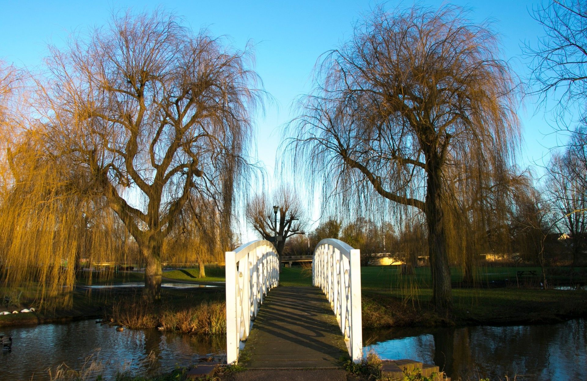 A bridge over a body of water surrounded by trees