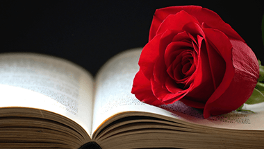 A red rose is sitting on top of an open book